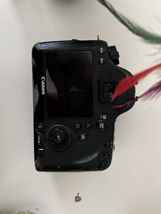 Canon 6D + Canon 24-105L USM