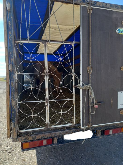 Газель, вывоз мусора