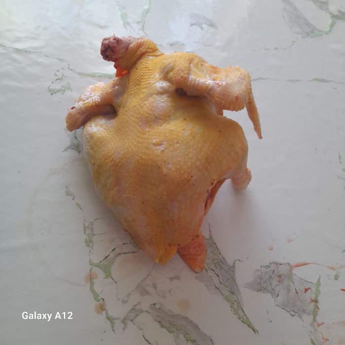 Бройлер тауық сатылады