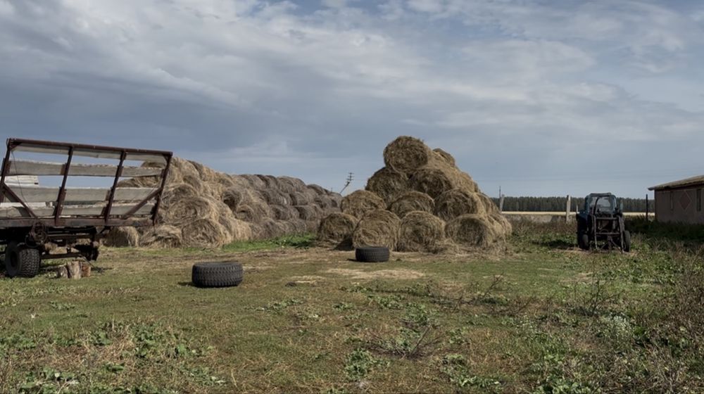 Фазенда / Готовый Бизнес