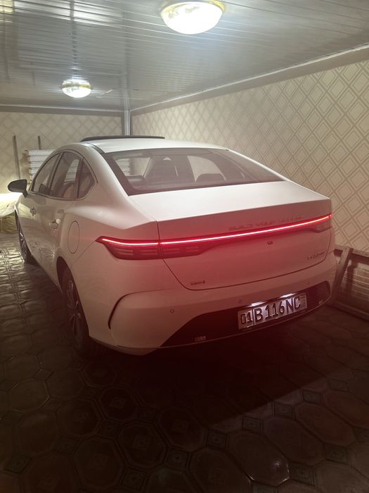 Byd Chazor 2024 55km