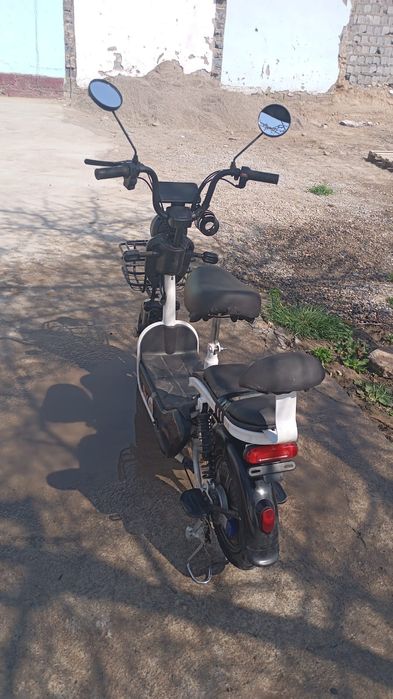 Электронный Велик