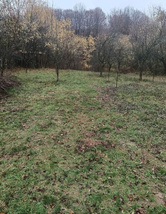 Vind teren in Vălenii de Munte