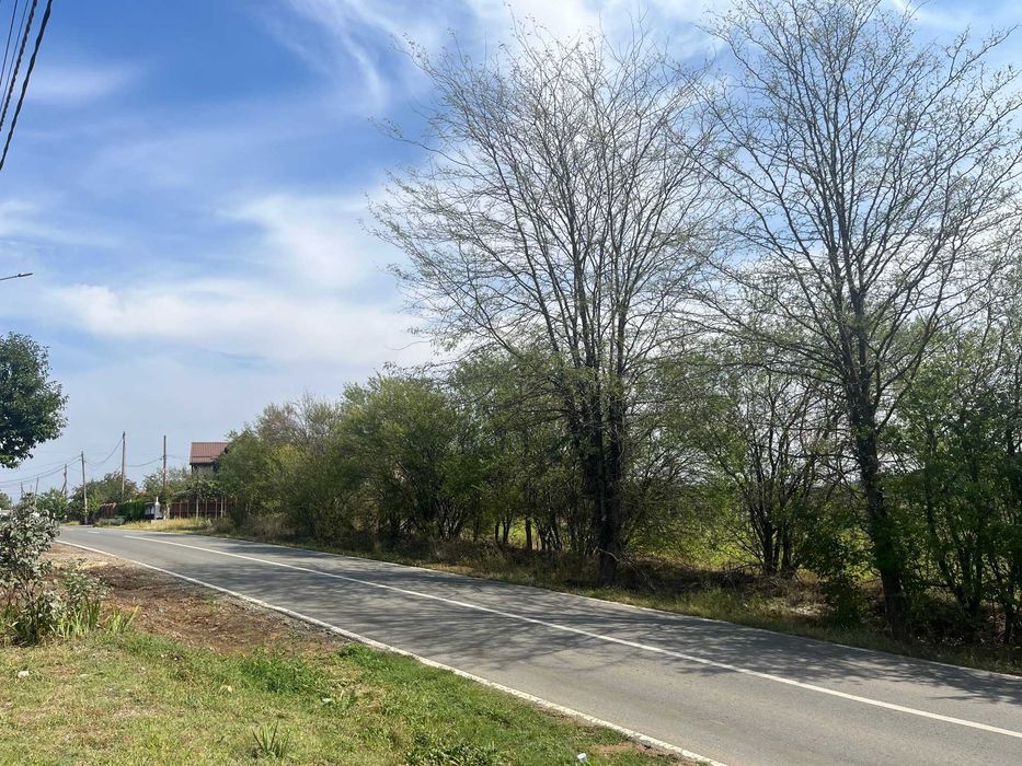 Vand Teren Snagov (Lipia) la 15 min de Bucuresti