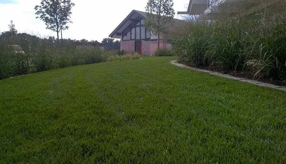 Gazon Verde pentru Curti si Terase