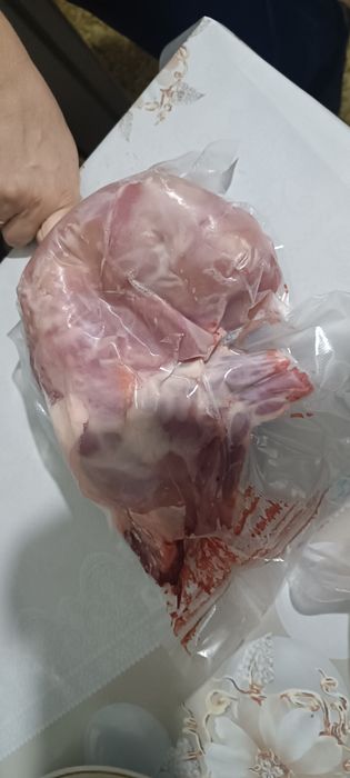 Продам мясо кролика