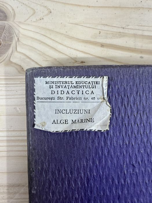 Incluziuni Alge marine