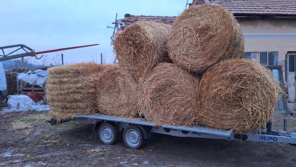 Vand baloti paie grau rotunzi120 x120