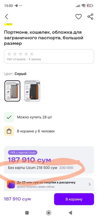 Кошелек для путешествий