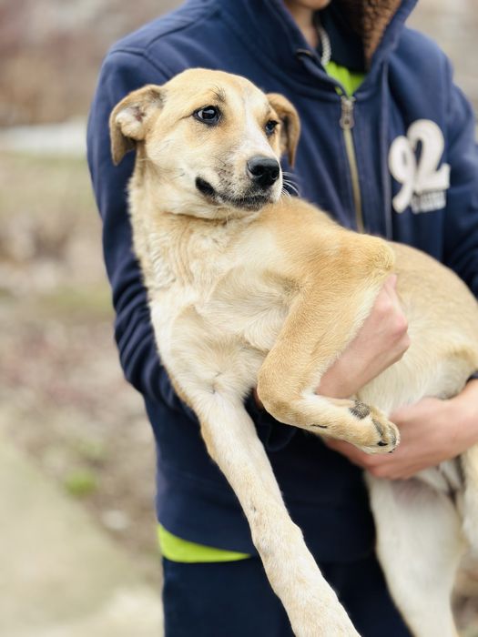 Звоночек девочка ищет семью