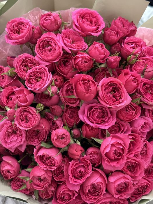 Кустовые спрей розы)