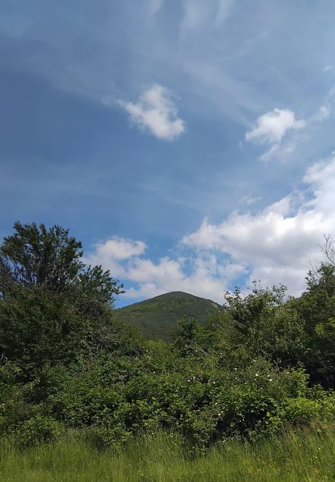 Продава се Парцел в с. Овчарци, Област Кюстендил - 950 кв.м за 28 €/кв.м - Снимка #1