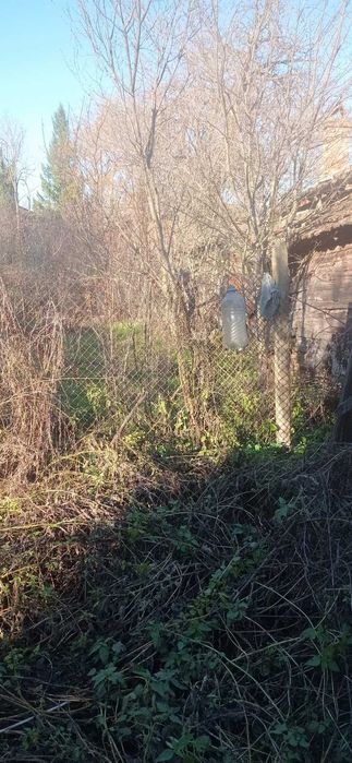 Продава се Парцел в с. Голямо Буково, Област Бургас - 500 кв.м за 21 €/кв.м - Снимка #2