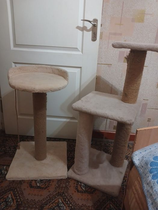 Продаётся Когтетоточки