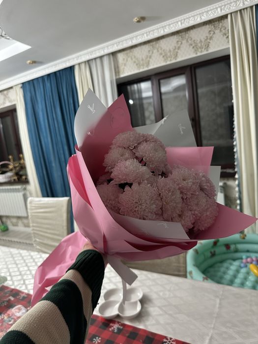 Продаю цветы дешево