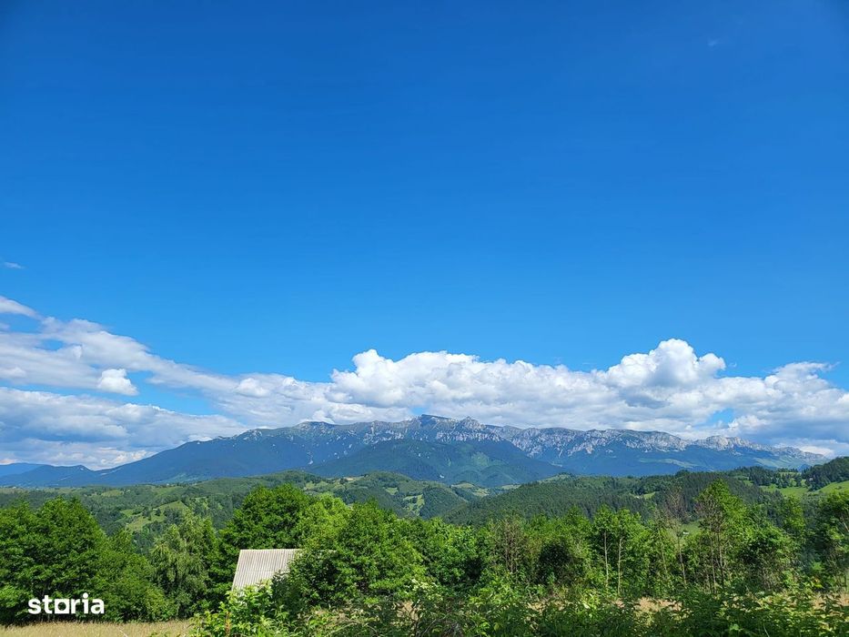 Teren 3 ha Moieciu de Jos | Drumul Carului I Panoramă | Utilitati