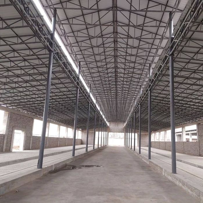 Tom Naves Molhona xizmati