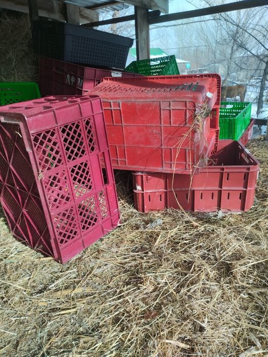 Продам ящики для овощей
