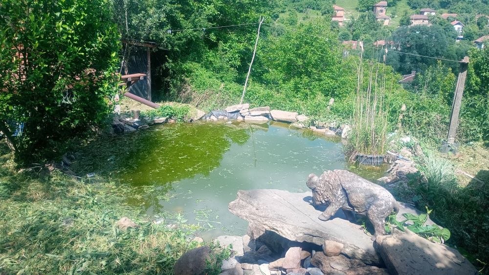 Продава се Къща в с. Станьовци, Област Перник - 70 кв.м за 858 €/кв.м - Снимка #5