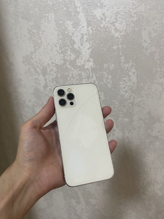 iPhone 12Pro •256GB 100%•