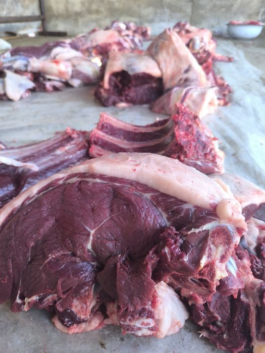 Дайын жілік жылқы еті бар