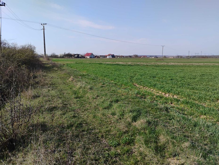 Teren extravilan 3 parcele total 37.400 mp, langa sosea asfaltata si posibilitate curent