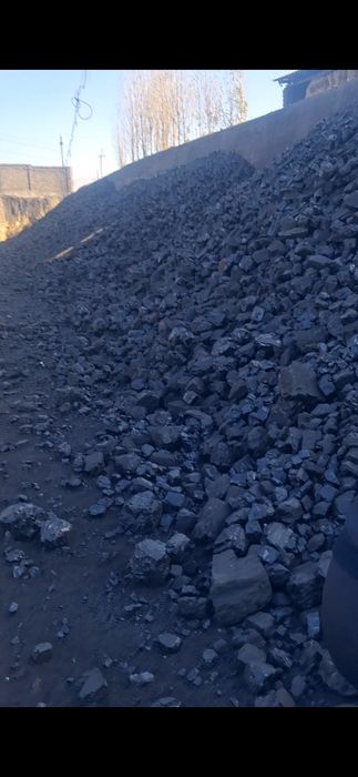 Шубаркул,каражара,майкуба