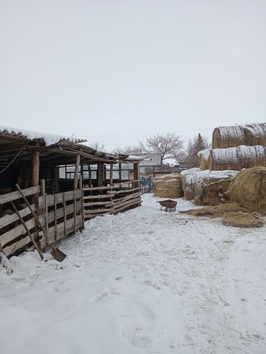 Продам дом сарай