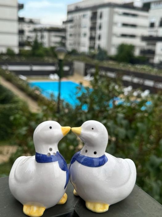 Inchiriere 3 camere Natura Residence