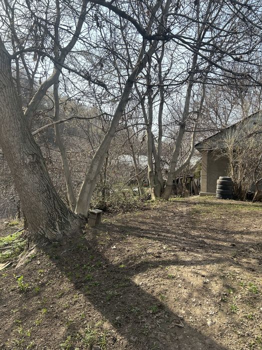 Участок земли ….