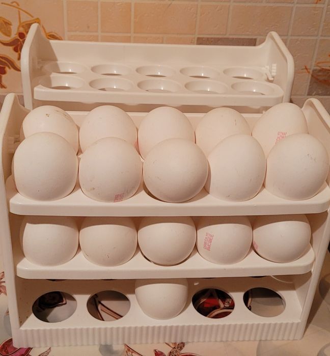 Контейнер для яиц