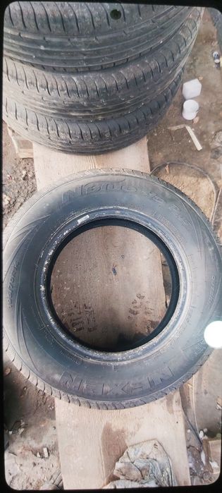 Летняя резина Nexen