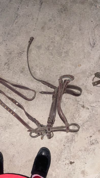 Жуген сатылады срочна