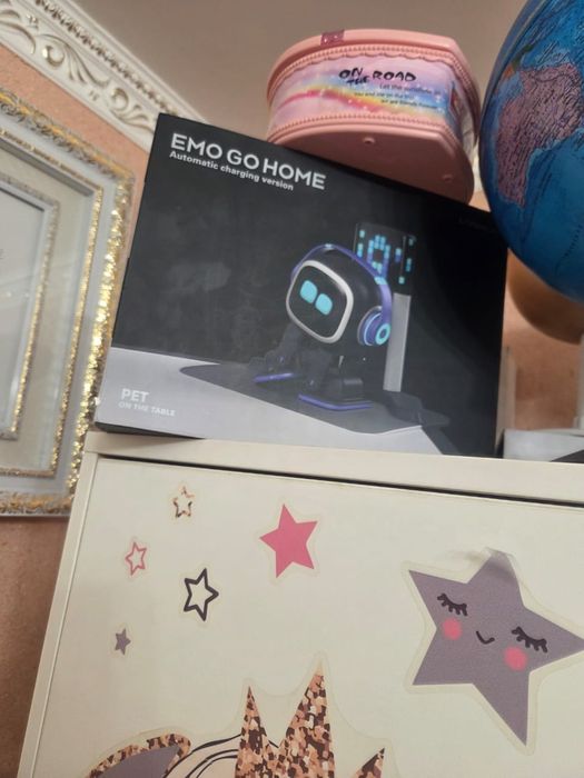 ИИ, Робот EMO Gо Hоме.