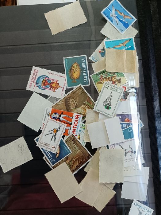 Clasor de 32 pegini, 16 file cu timbre