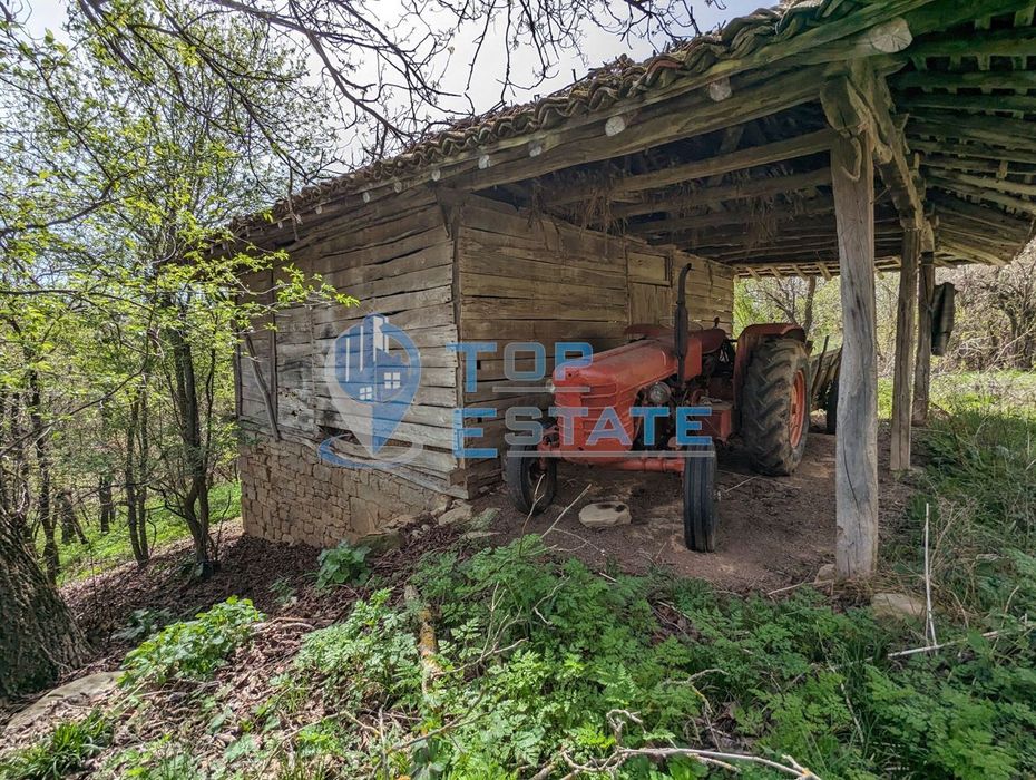 Продава се Парцел в Елена - 1000 кв.м за 12 €/кв.м - Снимка #1