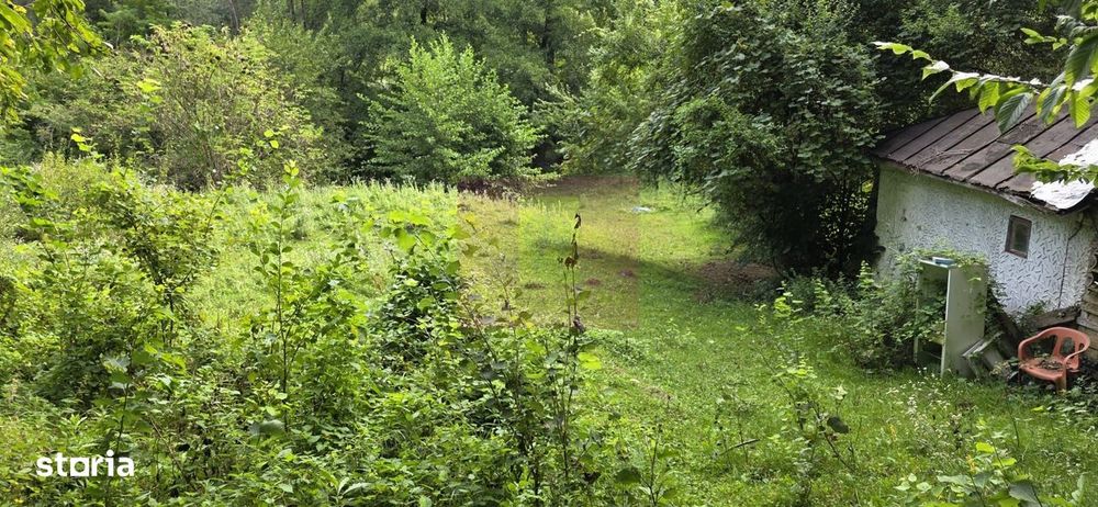 Teren de vanzare 15.000 mp in Telega