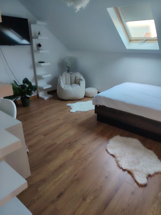 Ofer casă spre închiriere in regim hotelier