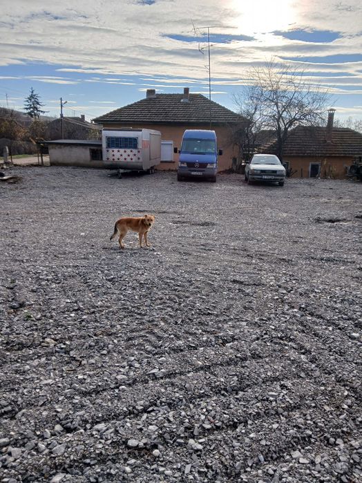 Дава се под наем Парцел в Лом - 600 кв.м за 153 € - Снимка #1