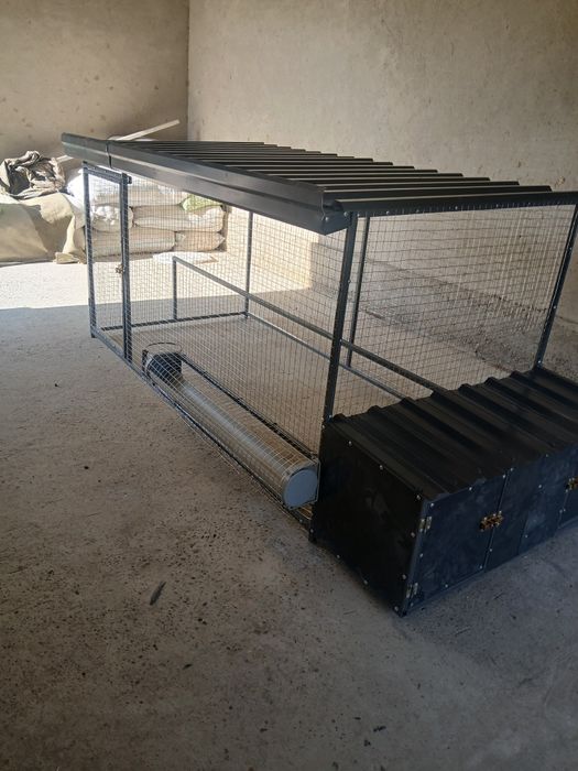 Tavuq katak sotuvda