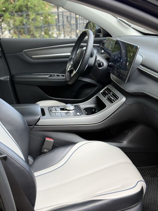 Byd chazor DM-I 55 LUXE ( с люком )