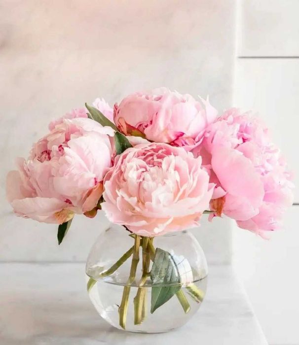 Ваза шар, Флора, новая