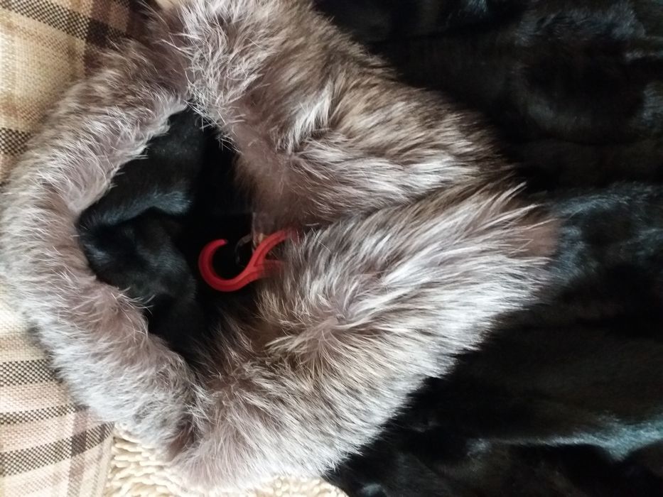 Срочно! Шуба козлик+чернобурка