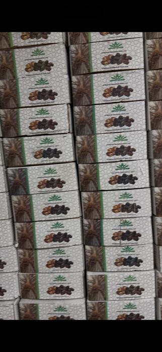 Финиковый сад, финики, курма