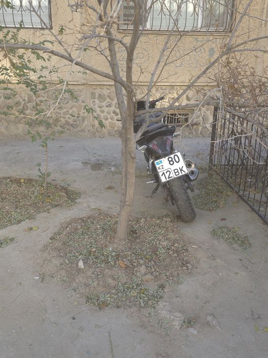 Продам мот рейсе 2020года