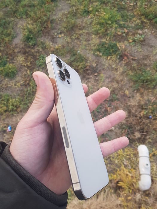 iPhone 12 Pro max ideal