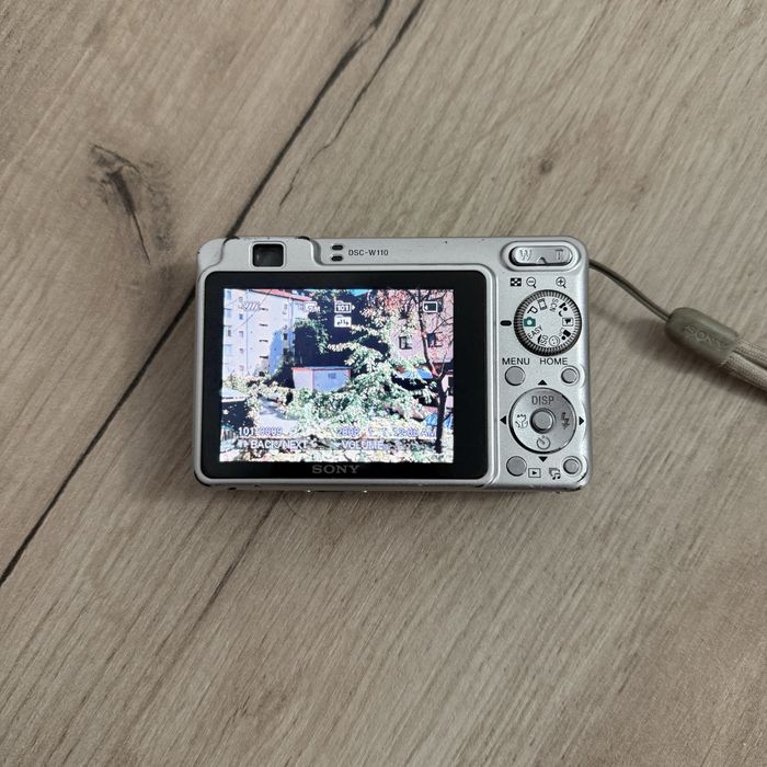 Sony DSC-W110 Y2K Style
