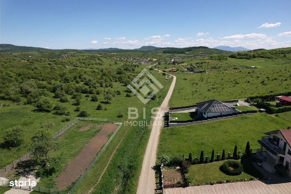 Teren Valea - Stanelor 21.600 mp
