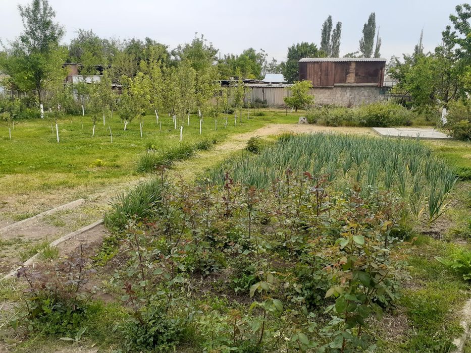 Продам дачу массив Химик.Чолдала