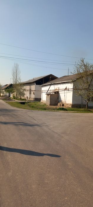 Srochno sotiladi tez chinoz tumani istiqlol MFY navbahor kochasi 28-uy